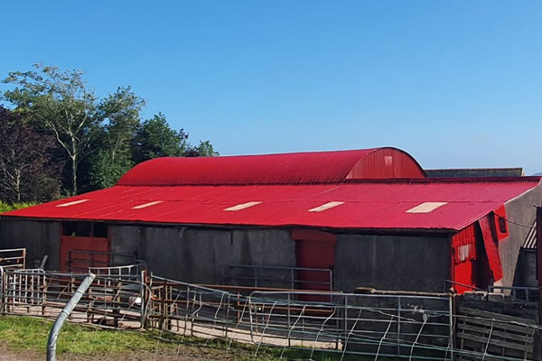 farm shed roof painting contractors